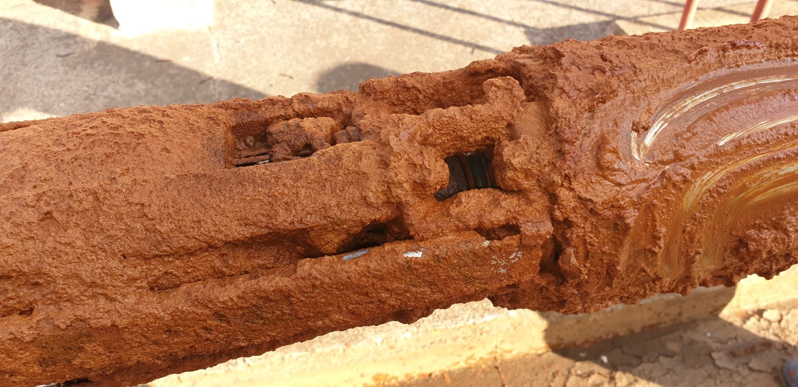 Iron Related Bacteria